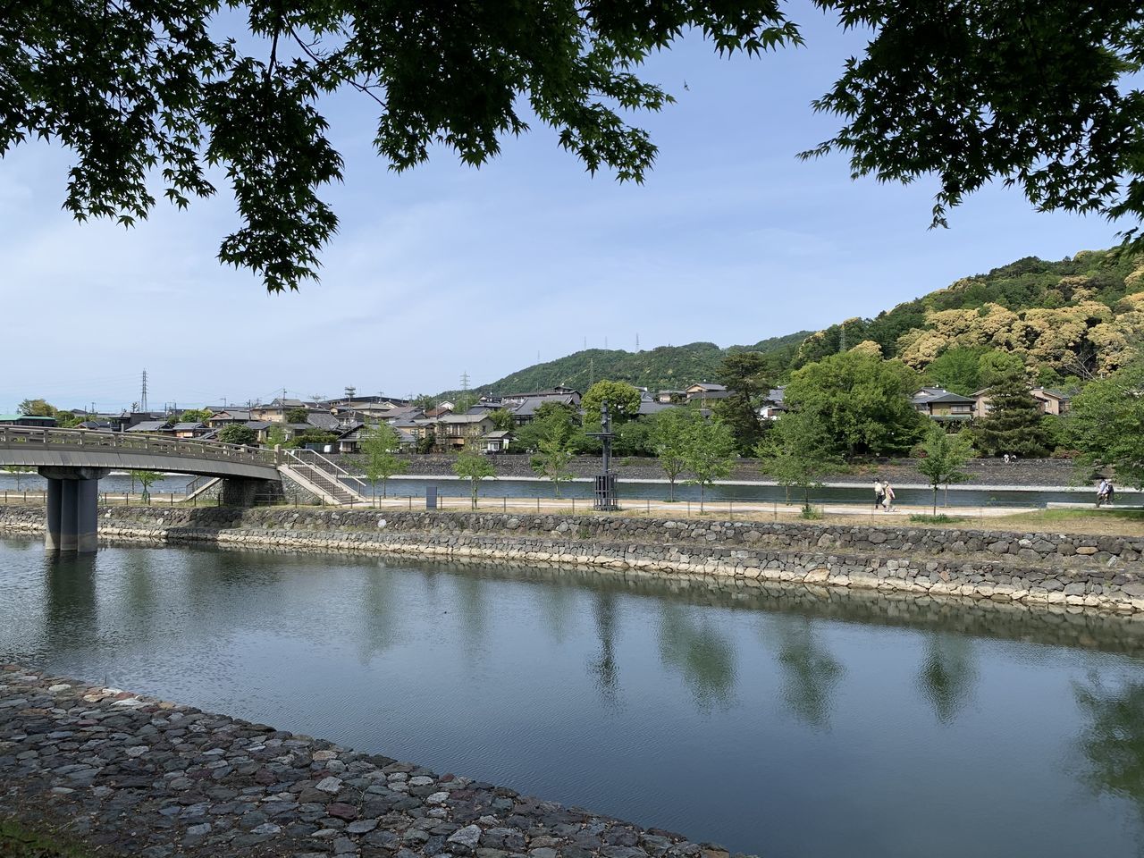 water, architecture, tree, built structure, plant, sky, bridge, nature, building exterior, connection, day, bridge - man made structure, river, reflection, no people, city, outdoors, cloud - sky, transportation, arch bridge