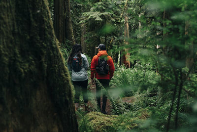 Rear view of people walking in forest