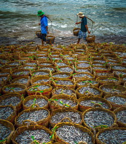 High angle view of people fishing in sea