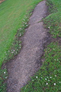 High angle view of road amidst plants on field