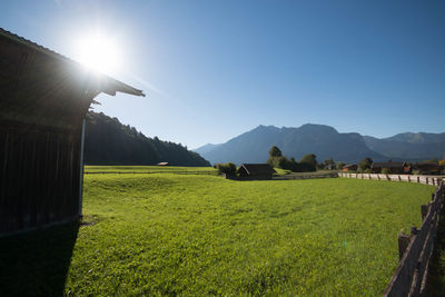 Scenic view of field against clear sky