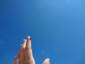 Cropped hand of woman with ladybug against blue sky
