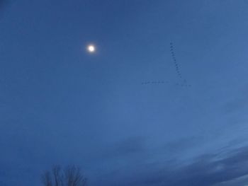 Low angle view of moon against blue sky