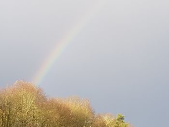 Low angle view of rainbow against clear sky