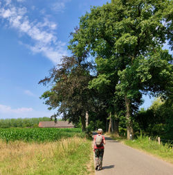 Rear view of woman walking along a rural lane towards a hughe trees and a farm under blue sky