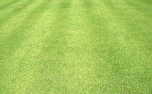 Full frame shot of soccer field