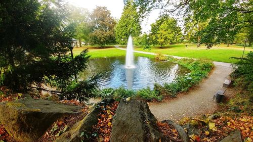 Fountain in park by lake