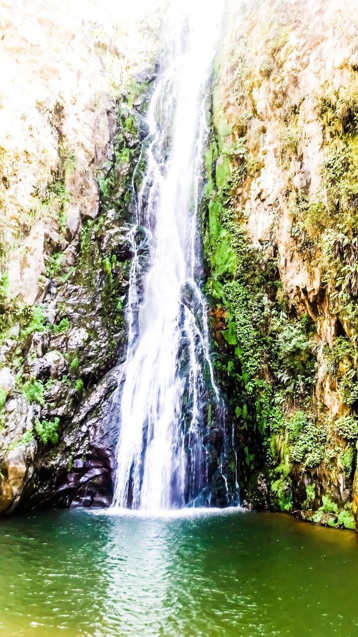 SCENIC VIEW OF WATERFALL AGAINST TREES