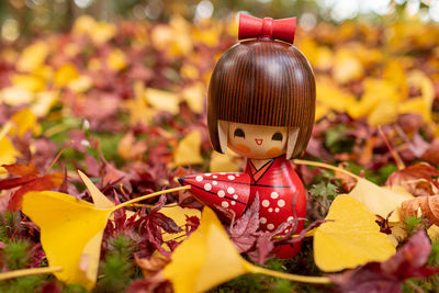 Close-up of autumn leaves