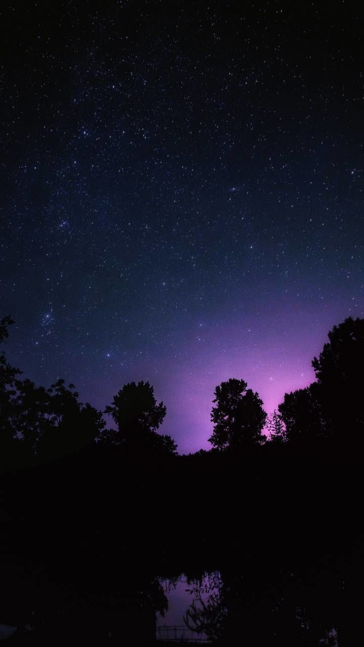 night, sky, space, tree, scenics - nature, star - space, tranquility, beauty in nature, astronomy, tranquil scene, plant, silhouette, star, no people, nature, idyllic, low angle view, growth, star field, outdoors