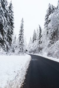 Road amidst trees against clear sky during winter