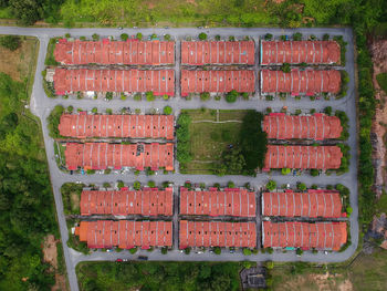 High angle view of houses amidst trees