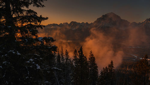 Scenic view of forest against sky during sunset