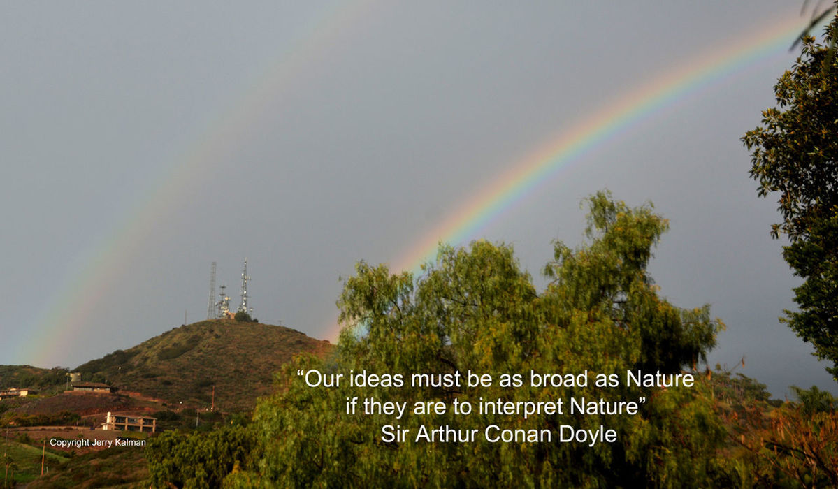 LOW ANGLE VIEW OF RAINBOW OVER TREES AND PLANTS AGAINST SKY