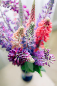 Close-up of pink flowering plant