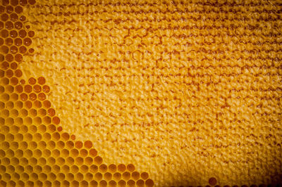 Full frame shot of honeycomb