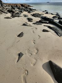 High angle view of footprints on beach