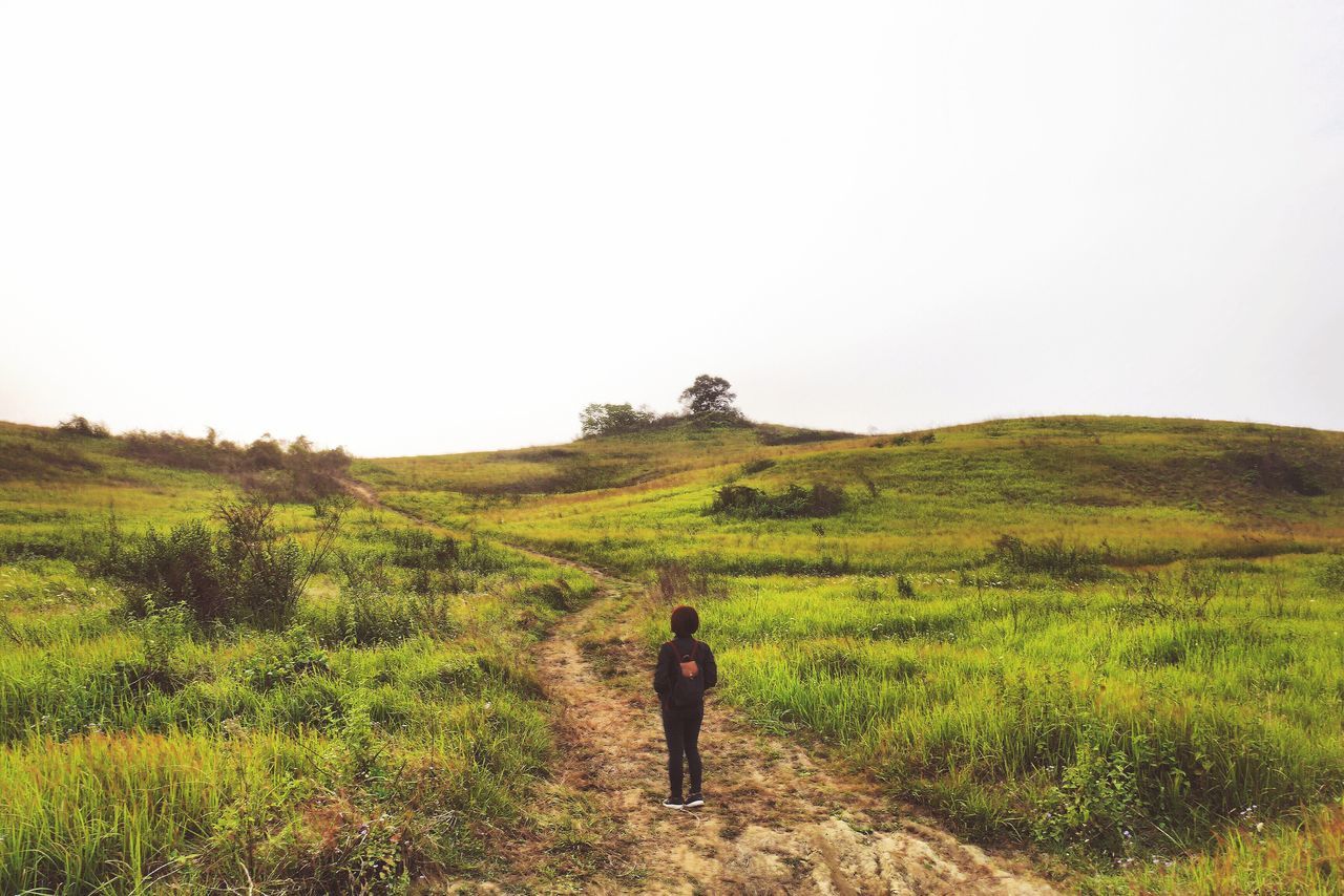 rural scene, agriculture, farm, field, landscape, real people, crop, farmer, nature, walking, one person, growth, clear sky, green color, men, outdoors, scenics, day, working, beauty in nature, rice paddy, people, adult, adults only, one man only, scarecrow