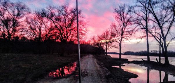 Silhouette bare trees by lake against sky at sunset