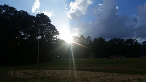 Sun shining through trees