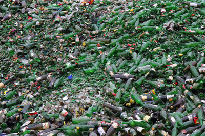 High angle view of crab on land