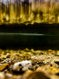 Close-up of water surface level of rocks