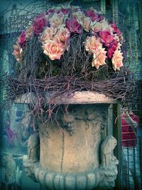 View of flowers in garden