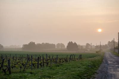 Scenic view of field against sky during sunset