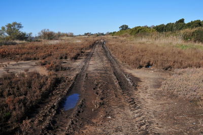 Dirt road amidst trees against clear sky