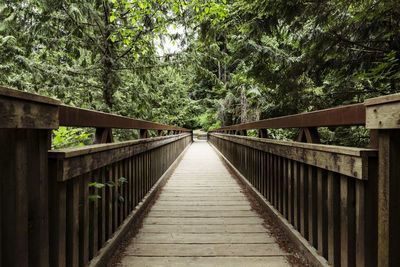 Footbridge amidst trees in forest