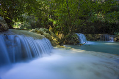 Scenic view of waterfall in forest