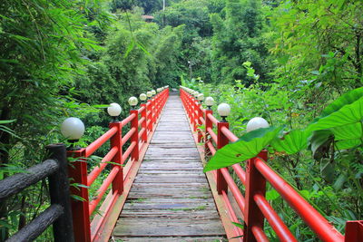 Rear view of man walking on footbridge