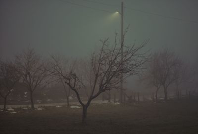 Silhouette bare trees on field against sky during foggy weather