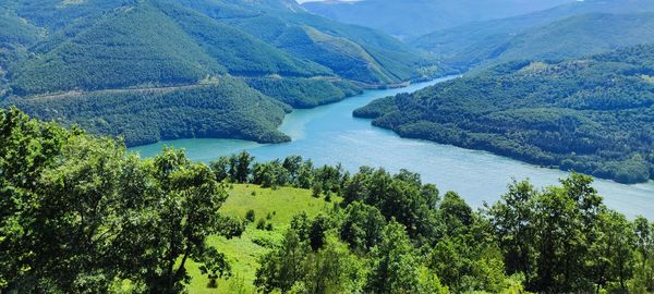 High angle view of trees and mountains