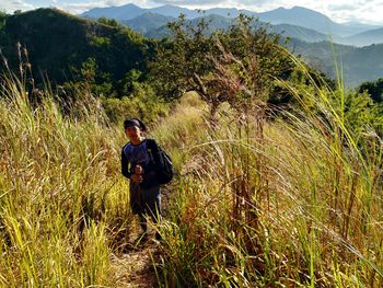 Rear view of man amidst plants on land