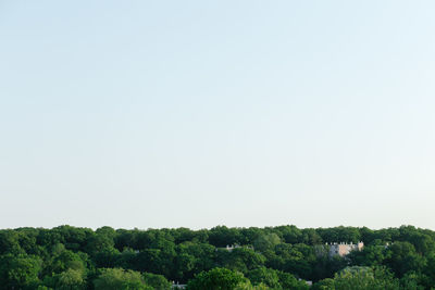 Scenic view of trees against clear sky