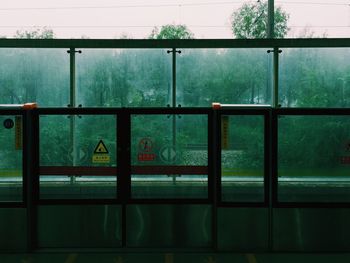 View of trees seen through window