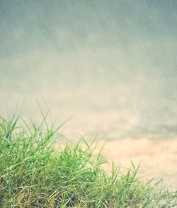 Scenic view of landscape against cloudy sky