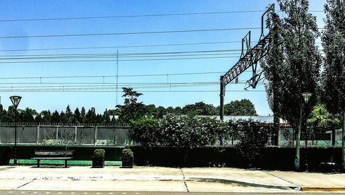 Trees and electricity pylon against sky