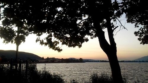 Silhouette tree by river against sky during sunset