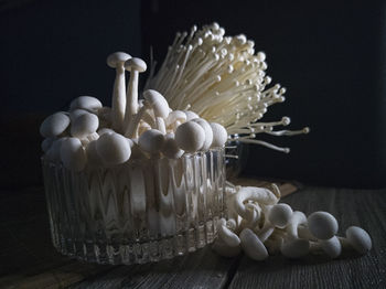 Close-up of mushrooms on table