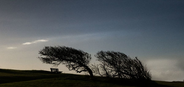 Silhouette trees on field against sky