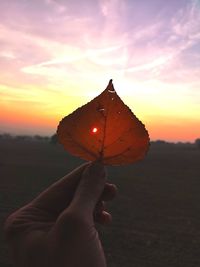 Cropped hand holding leaf against sky during sunset