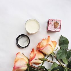 High angle view of rose on table