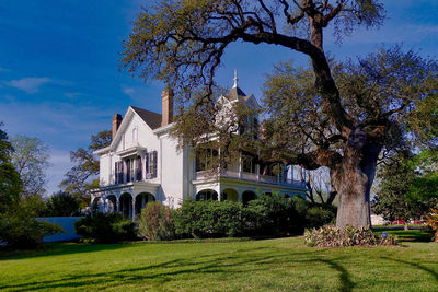 Trees and built structure against blue sky