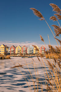 View of buildings against blue sky