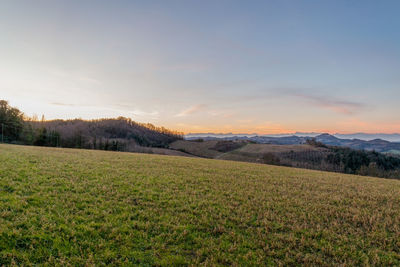 Scenic view of field against sky during sunset