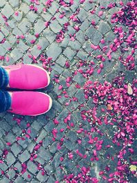 Low section of woman standing by pink flowers