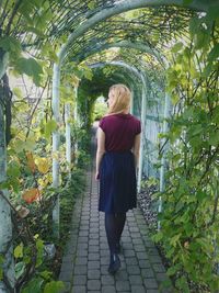 Rear view of woman standing on footpath amidst plants