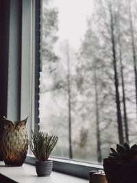 Close-up of cat on window sill